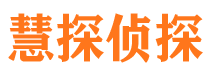 临潭市调查公司